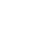 Hagley Oval Logo
